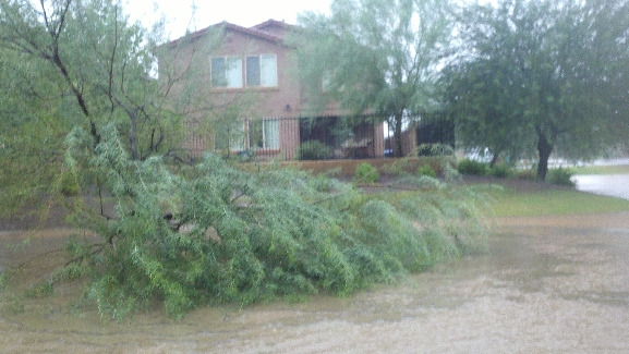 AZflashfloods130909 023