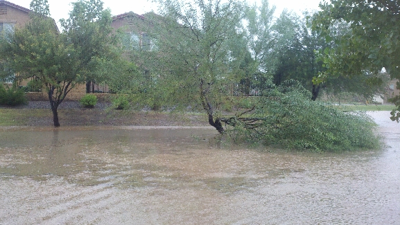 AZflashfloods130909 026