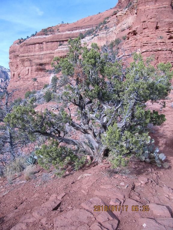 SEDONA 0851