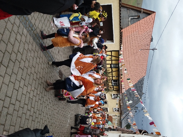 fasching 43546