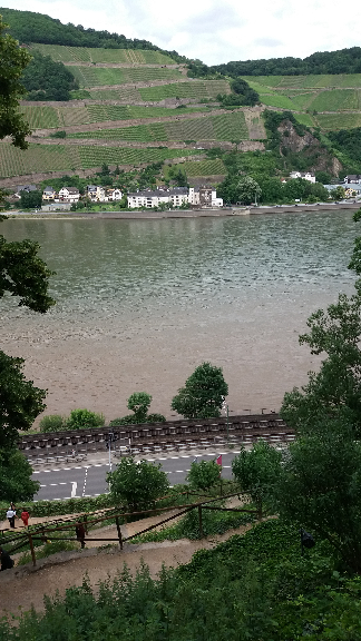 rhein 24