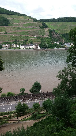 rhein 25